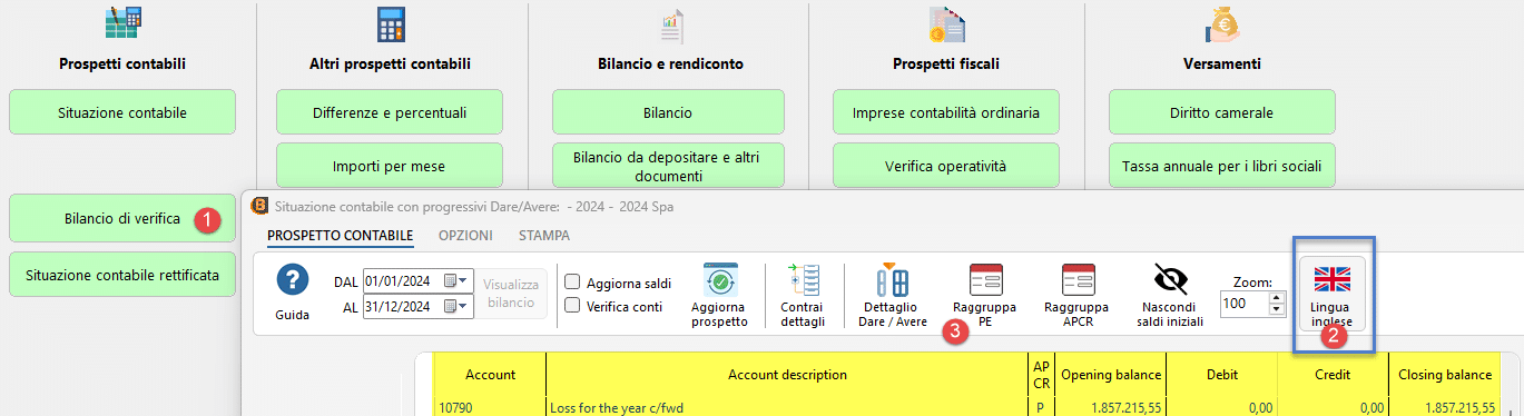 Bilancio di verifica in lingua inglese