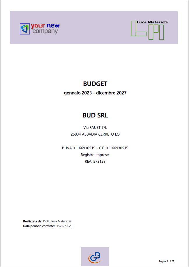 Documento finale Budget e Business Plan