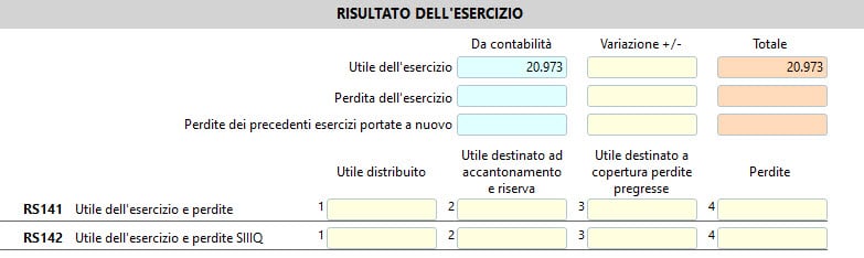 Sezione Risultato dell'esercizio