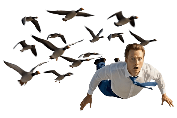 Preoccupato dagli errori?