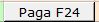 Paga F24